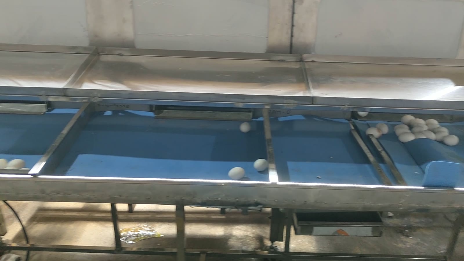 AI Egg Candling & Grading Machine, दृश्य 3