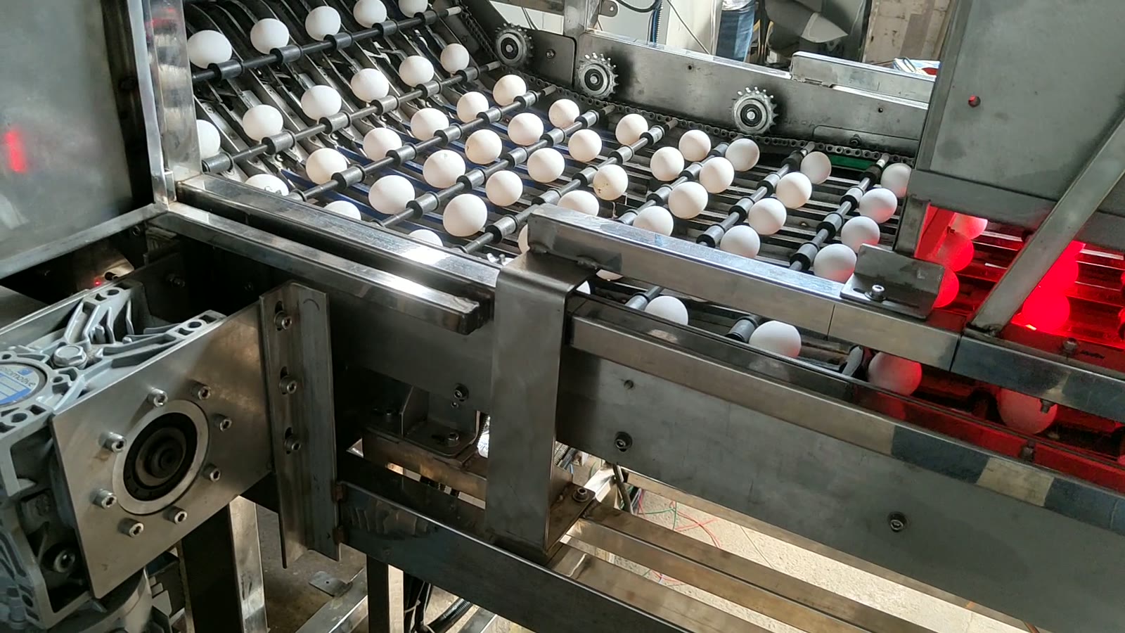 AI Egg Candling & Grading Machine, दृश्य 2