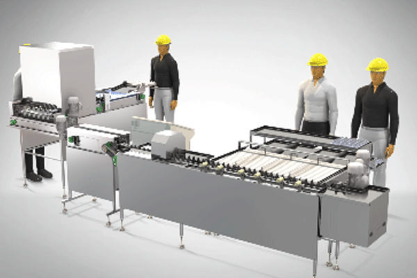 Mechanical Egg Grading Machine